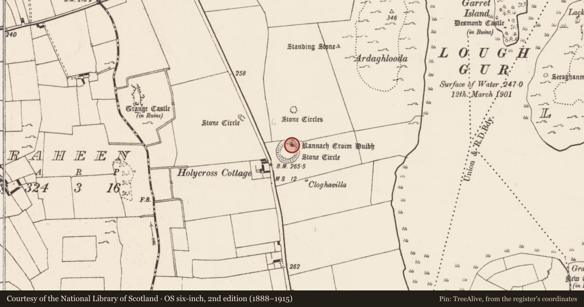 Ordnance Survey six-inch map, 2nd edition (1888–1915) covering the location of Passage tomb art (present location), Grange, County Limerick, with a pin at the register's coordinates