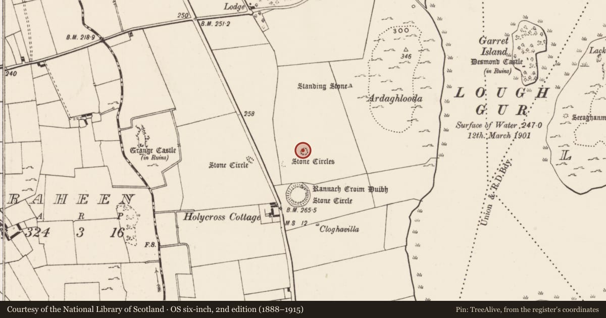 Ordnance Survey six-inch map, 2nd edition (1888–1915) covering the location of Stone circle, Grange, County Limerick, with a pin at the register's coordinates
