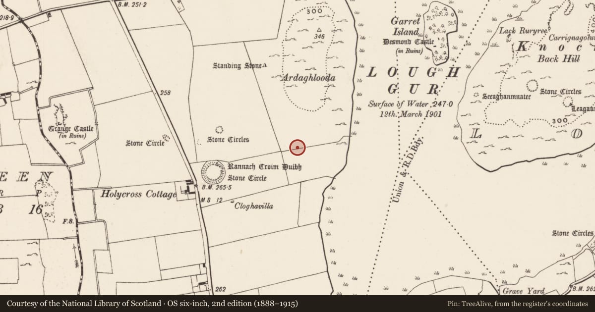 Ordnance Survey six-inch map, 2nd edition (1888–1915) covering the location of Road - road/trackway, Grange, County Limerick, with a pin at the register's coordinates