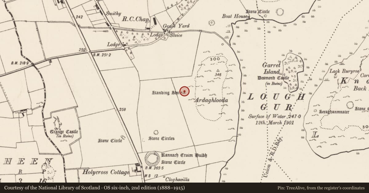 Ordnance Survey six-inch map, 2nd edition (1888–1915) covering the location of Standing stone, Grange, County Limerick, with a pin at the register's coordinates