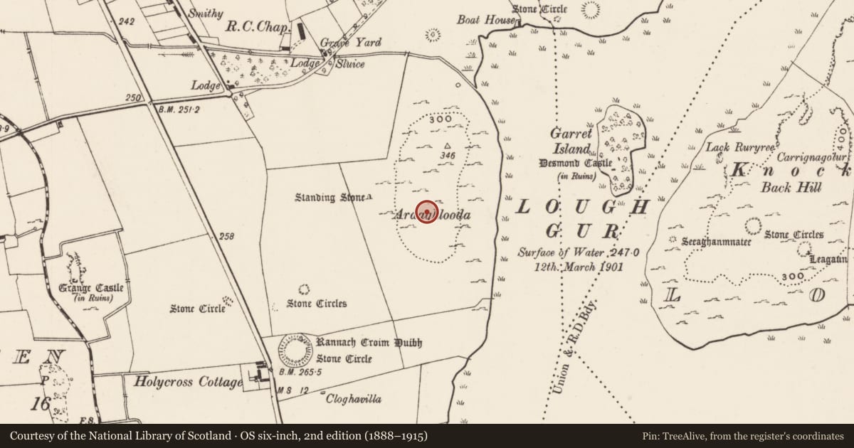 Ordnance Survey six-inch map, 2nd edition (1888–1915) covering the location of Enclosure, Grange, County Limerick, with a pin at the register's coordinates