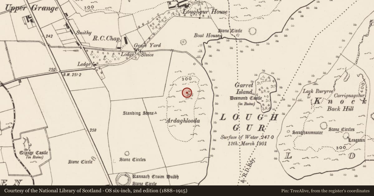 Ordnance Survey six-inch map, 2nd edition (1888–1915) covering the location of Enclosure, Grange, County Limerick, with a pin at the register's coordinates