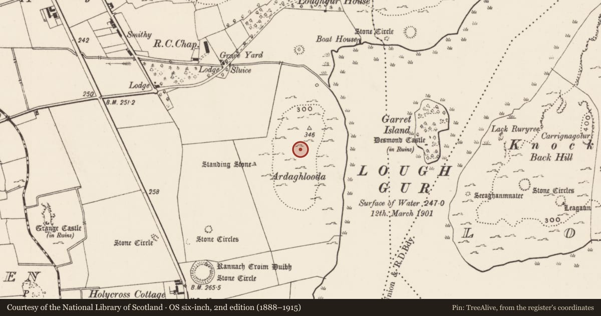 Ordnance Survey six-inch map, 2nd edition (1888–1915) covering the location of Field system, Grange, County Limerick, with a pin at the register's coordinates