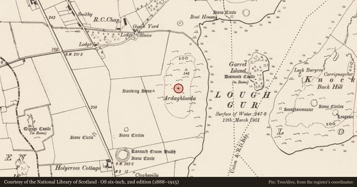 Ordnance Survey six-inch map, 2nd edition (1888–1915) covering the location of Enclosure, Grange, County Limerick, with a pin at the register's coordinates