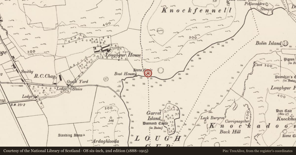 Ordnance Survey six-inch map, 2nd edition (1888–1915) covering the location of Settlement platform, Knockfennell, County Limerick, with a pin at the register's coordinates