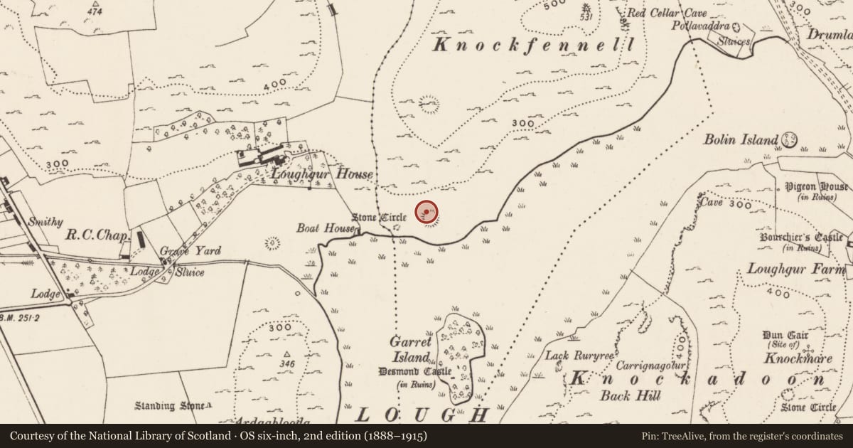Ordnance Survey six-inch map, 2nd edition (1888–1915) covering the location of Ringfort - rath, Knockfennell, County Limerick, with a pin at the register's coordinates
