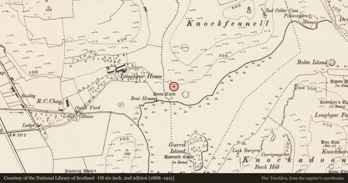 Ordnance Survey six-inch map, 2nd edition (1888–1915) covering the location of Field system, Knockfennell, County Limerick, with a pin at the register's coordinates