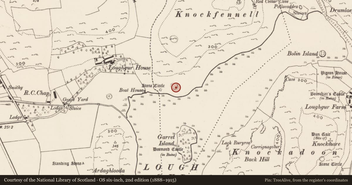 Ordnance Survey six-inch map, 2nd edition (1888–1915) covering the location of Stone circle, Knockfennell, County Limerick, with a pin at the register's coordinates