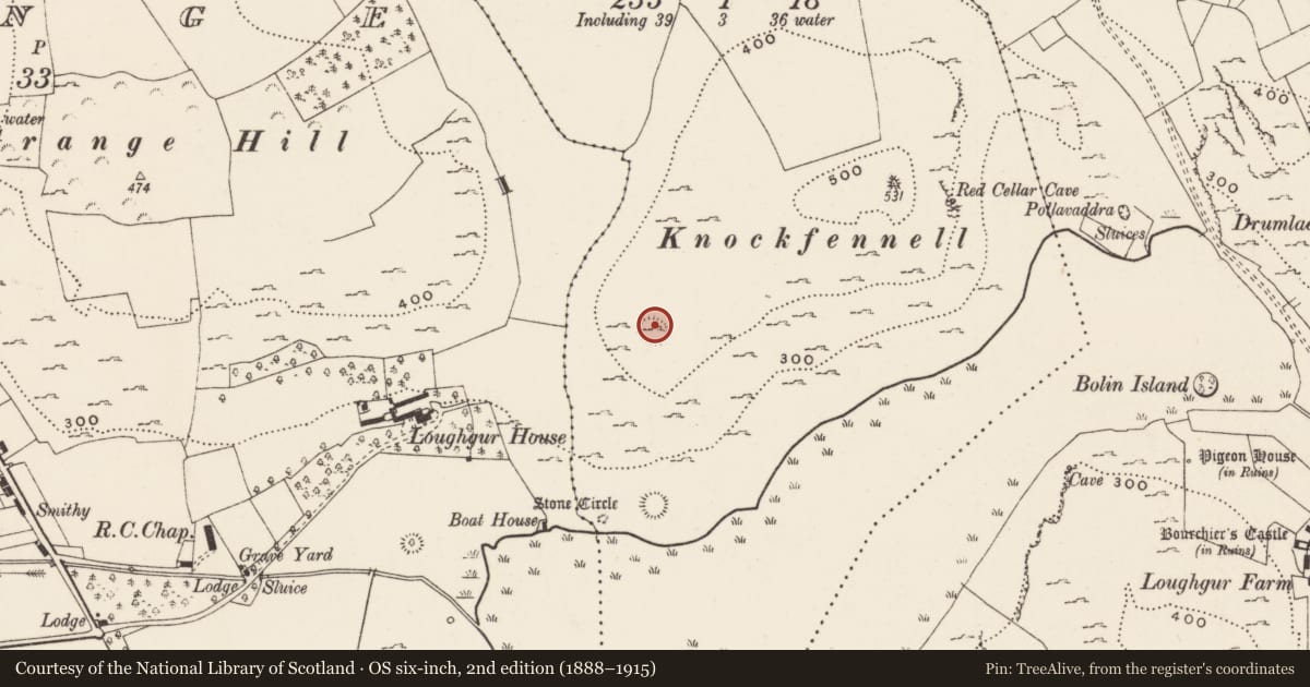 Ordnance Survey six-inch map, 2nd edition (1888–1915) covering the location of Ringfort - cashel, Knockfennell, County Limerick, with a pin at the register's coordinates