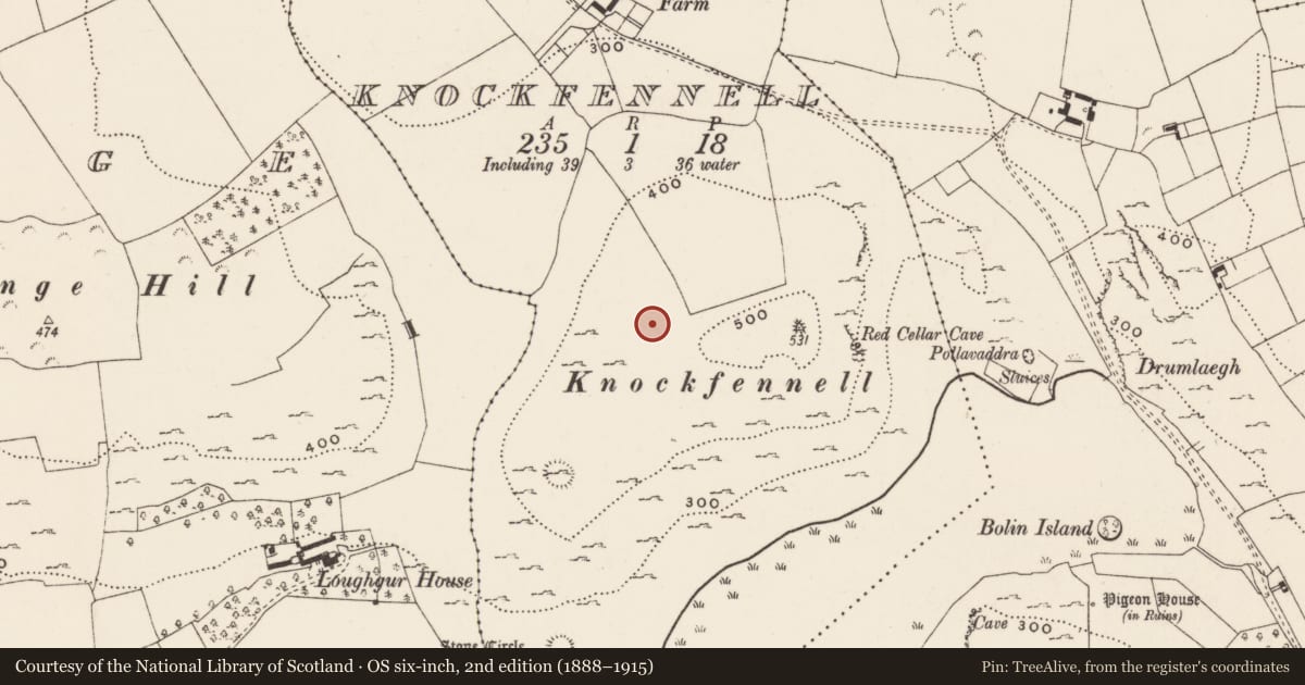 Ordnance Survey six-inch map, 2nd edition (1888–1915) covering the location of Hut site, Knockfennell, County Limerick, with a pin at the register's coordinates