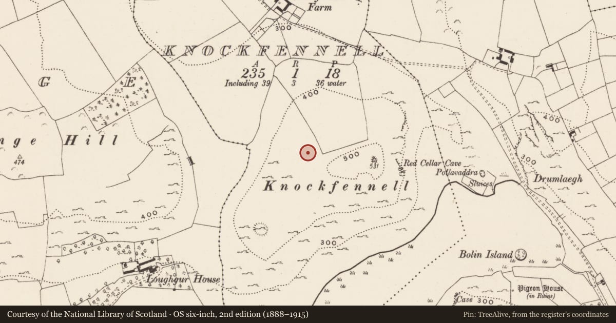 Ordnance Survey six-inch map, 2nd edition (1888–1915) covering the location of Hut site, Knockfennell, County Limerick, with a pin at the register's coordinates
