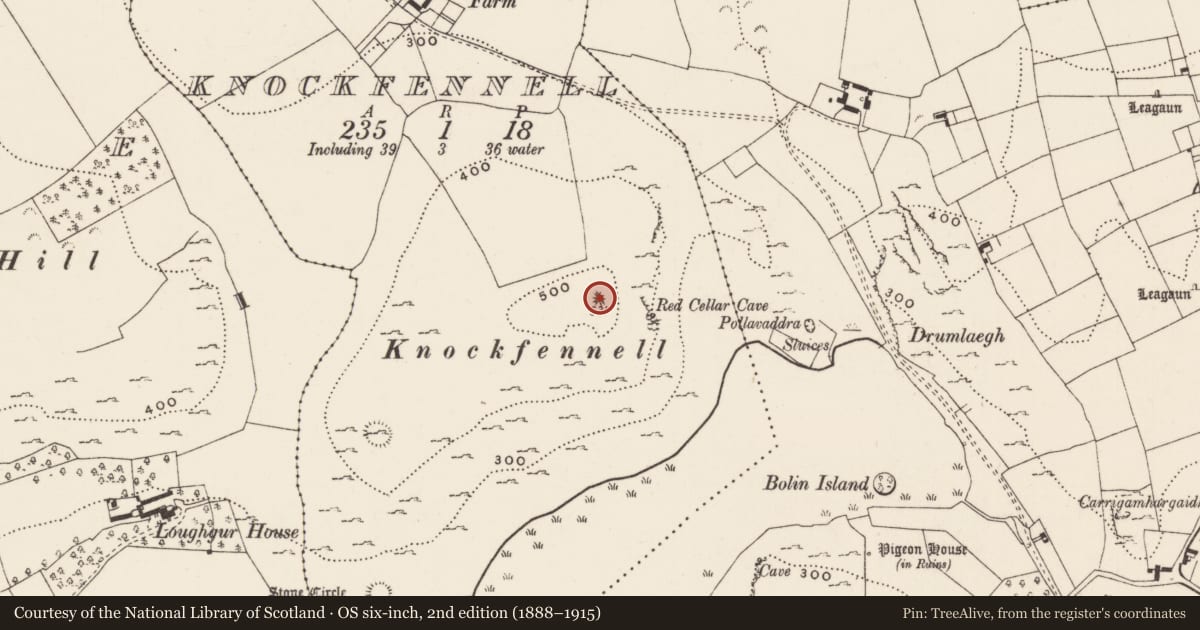 Ordnance Survey six-inch map, 2nd edition (1888–1915) covering the location of Cairn - ring-cairn, Knockfennell, County Limerick, with a pin at the register's coordinates