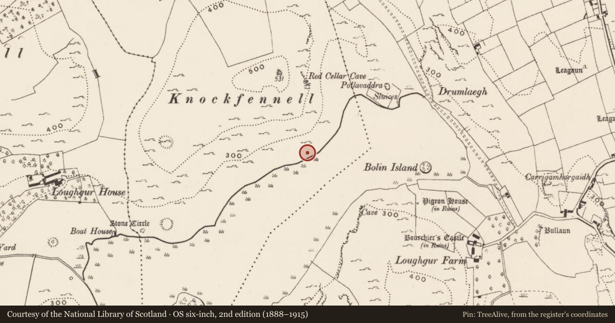 Ordnance Survey six-inch map, 2nd edition (1888–1915) covering the location of Structure, Knockfennell, County Limerick, with a pin at the register's coordinates