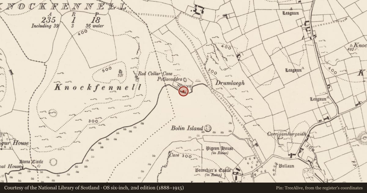 Ordnance Survey six-inch map, 2nd edition (1888–1915) covering the location of Standing stone, Loughgur, County Limerick, with a pin at the register's coordinates