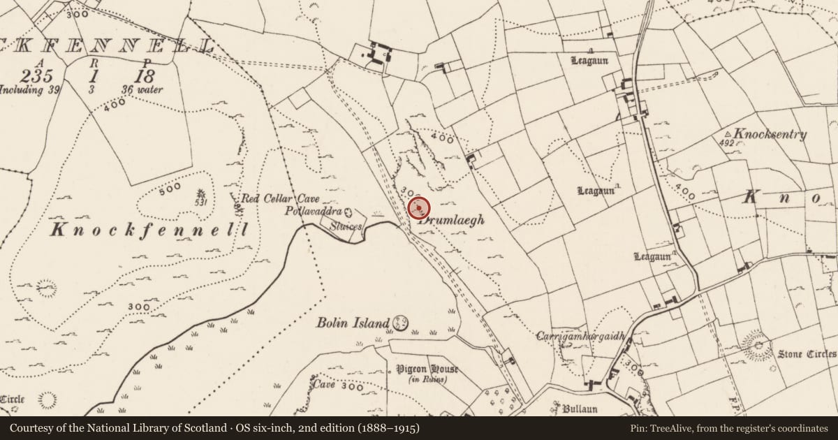 Ordnance Survey six-inch map, 2nd edition (1888–1915) covering the location of Settlement cluster, Loughgur, County Limerick, with a pin at the register's coordinates