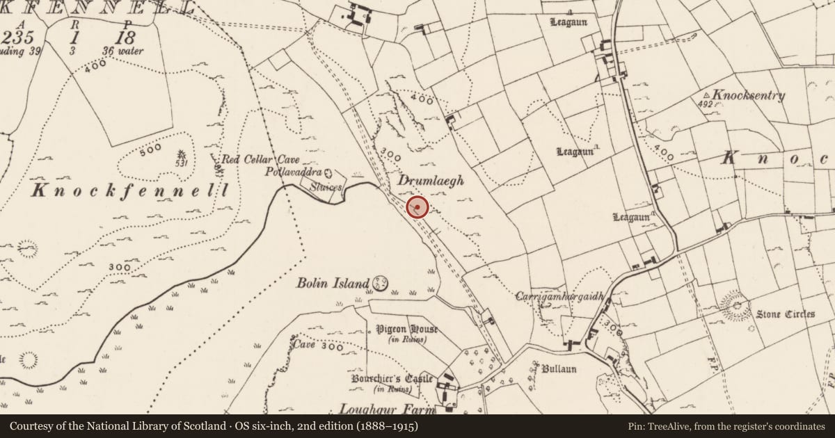 Ordnance Survey six-inch map, 2nd edition (1888–1915) covering the location of Pit-burial, Loughgur, County Limerick, with a pin at the register's coordinates
