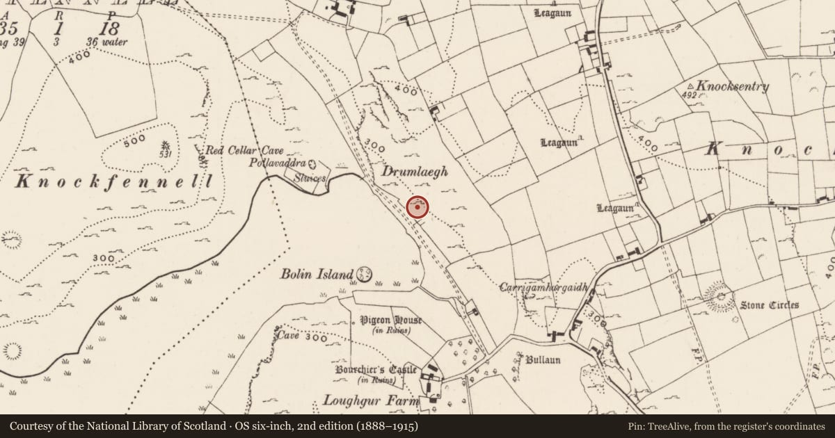 Ordnance Survey six-inch map, 2nd edition (1888–1915) covering the location of Hut site, Loughgur, County Limerick, with a pin at the register's coordinates