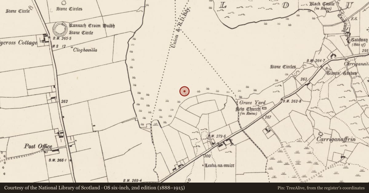 Ordnance Survey six-inch map, 2nd edition (1888–1915) covering the location of Crannog, Ballynagallagh, County Limerick, with a pin at the register's coordinates