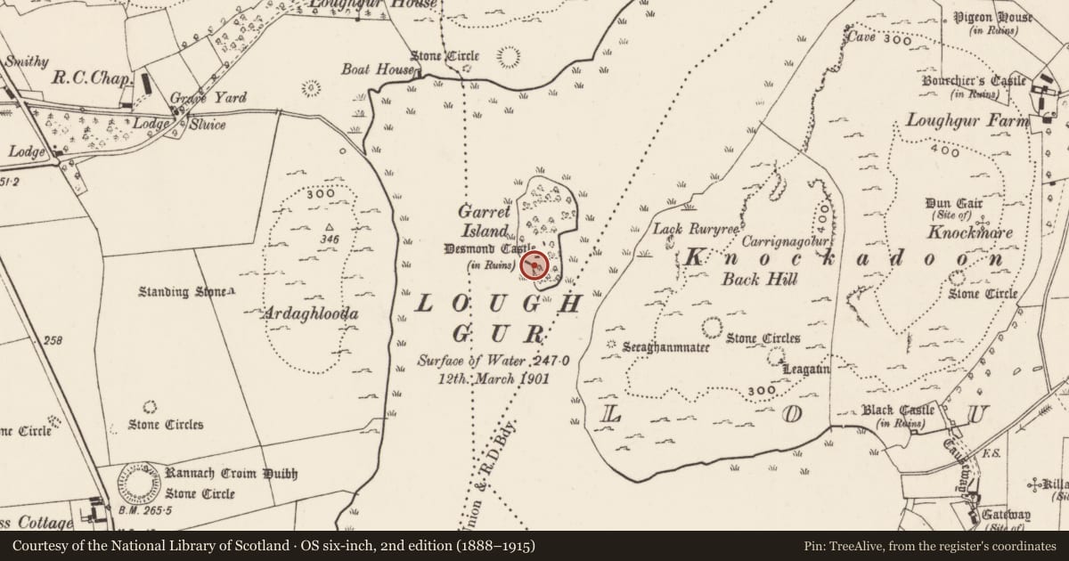 Ordnance Survey six-inch map, 2nd edition (1888–1915) covering the location of Settlement platform, Knockfennell, County Limerick, with a pin at the register's coordinates
