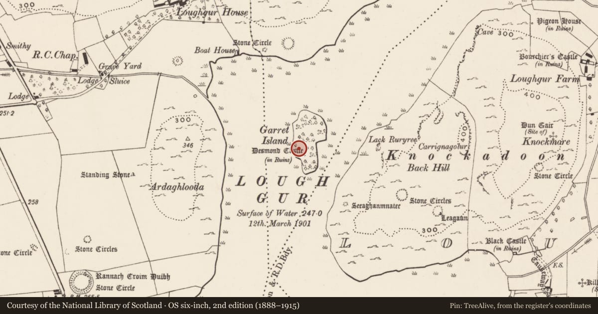 Ordnance Survey six-inch map, 2nd edition (1888–1915) covering the location of Castle - unclassified, Knockfennell, County Limerick, with a pin at the register's coordinates