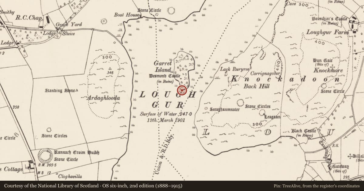 Ordnance Survey six-inch map, 2nd edition (1888–1915) covering the location of Habitation site, Knockfennell, County Limerick, with a pin at the register's coordinates
