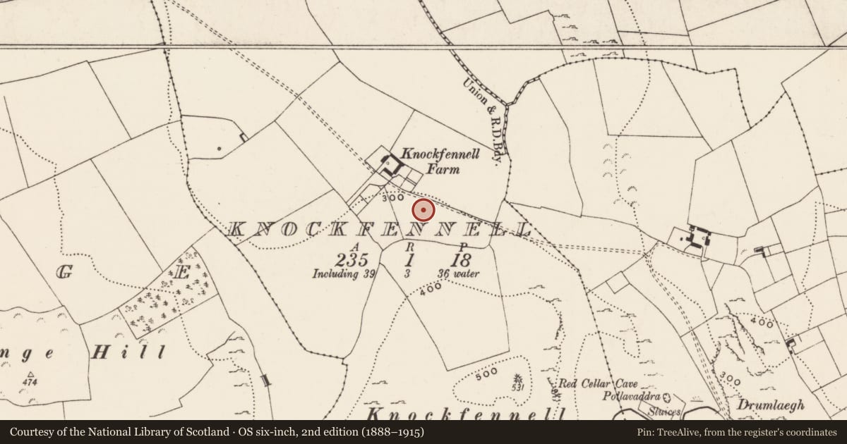 Ordnance Survey six-inch map, 2nd edition (1888–1915) covering the location of Standing stone, Knockfennell, County Limerick, with a pin at the register's coordinates