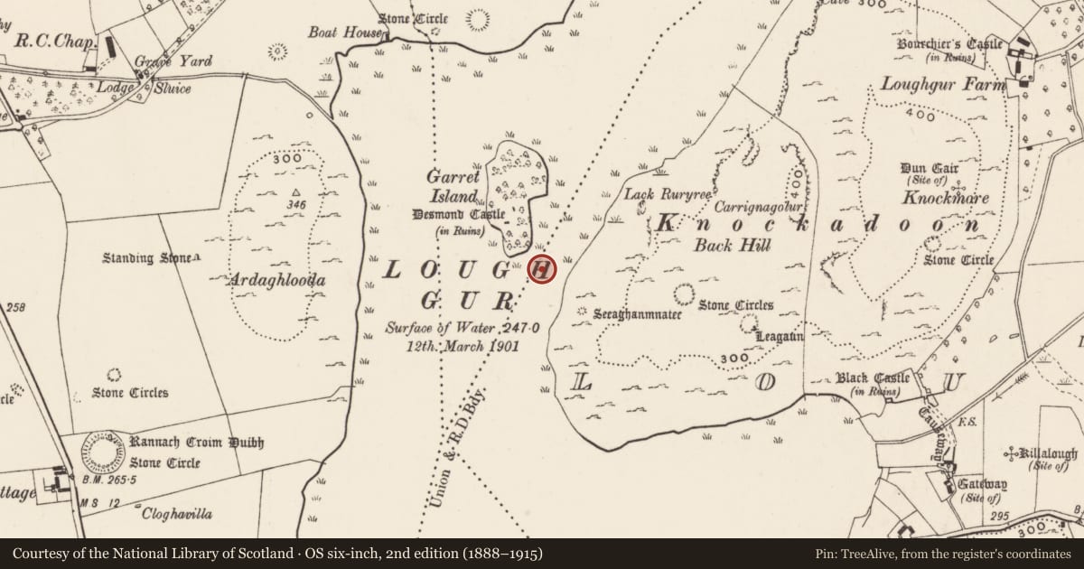 Ordnance Survey six-inch map, 2nd edition (1888–1915) covering the location of Causeway, Knockfennell, County Limerick, with a pin at the register's coordinates