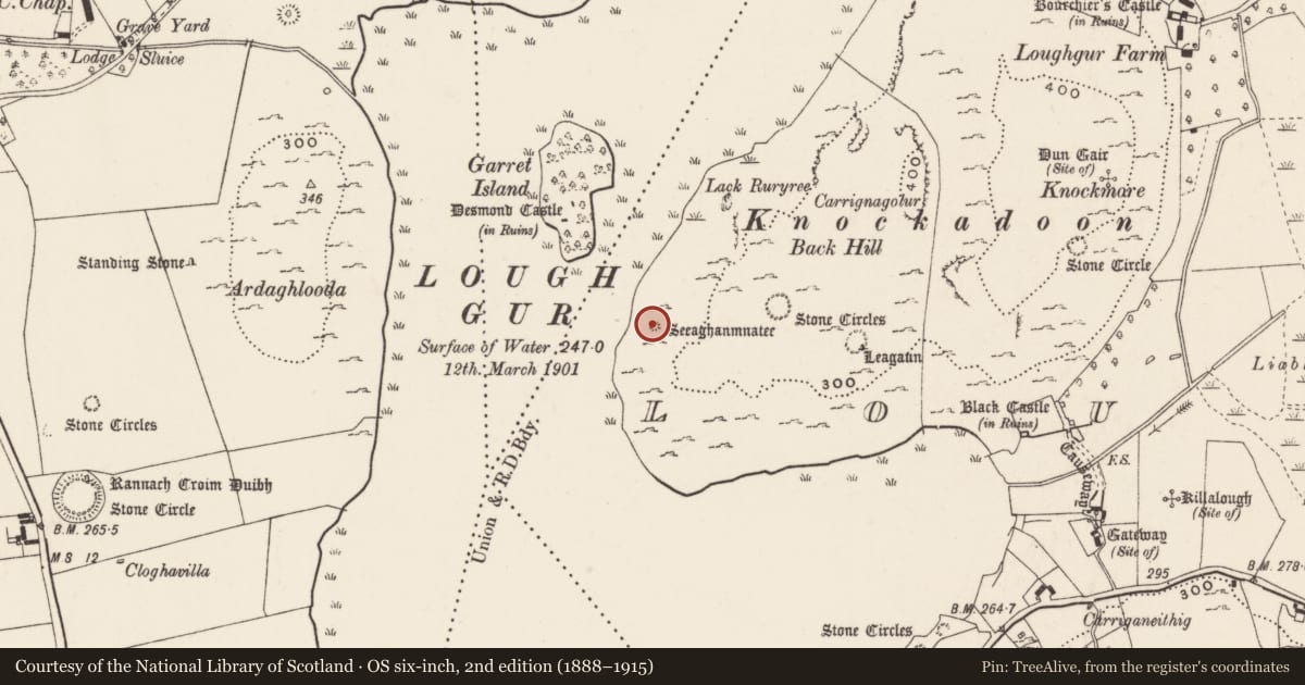 Ordnance Survey six-inch map, 2nd edition (1888–1915) covering the location of Enclosure, Loughgur, County Limerick, with a pin at the register's coordinates