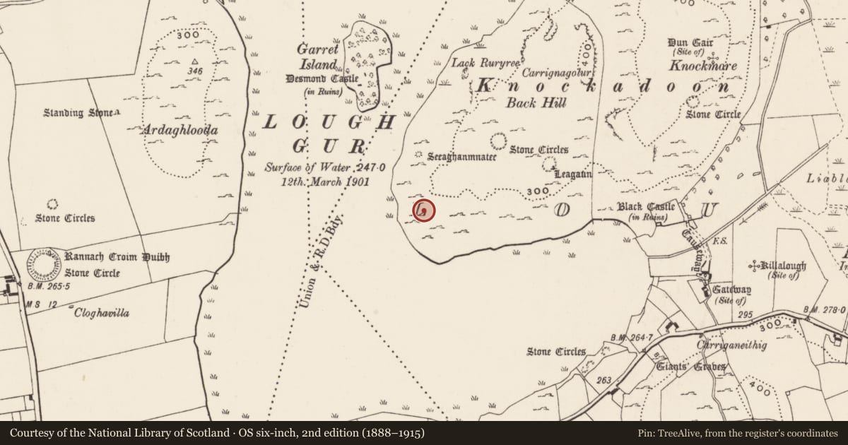Ordnance Survey six-inch map, 2nd edition (1888–1915) covering the location of Enclosure, Loughgur, County Limerick, with a pin at the register's coordinates