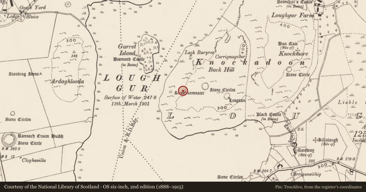 Ordnance Survey six-inch map, 2nd edition (1888–1915) covering the location of House - Bronze Age, Loughgur, County Limerick, with a pin at the register's coordinates