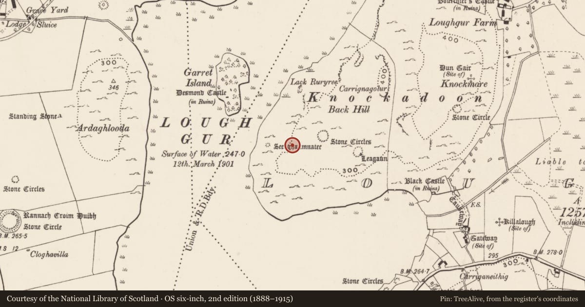 Ordnance Survey six-inch map, 2nd edition (1888–1915) covering the location of Enclosure, Loughgur, County Limerick, with a pin at the register's coordinates