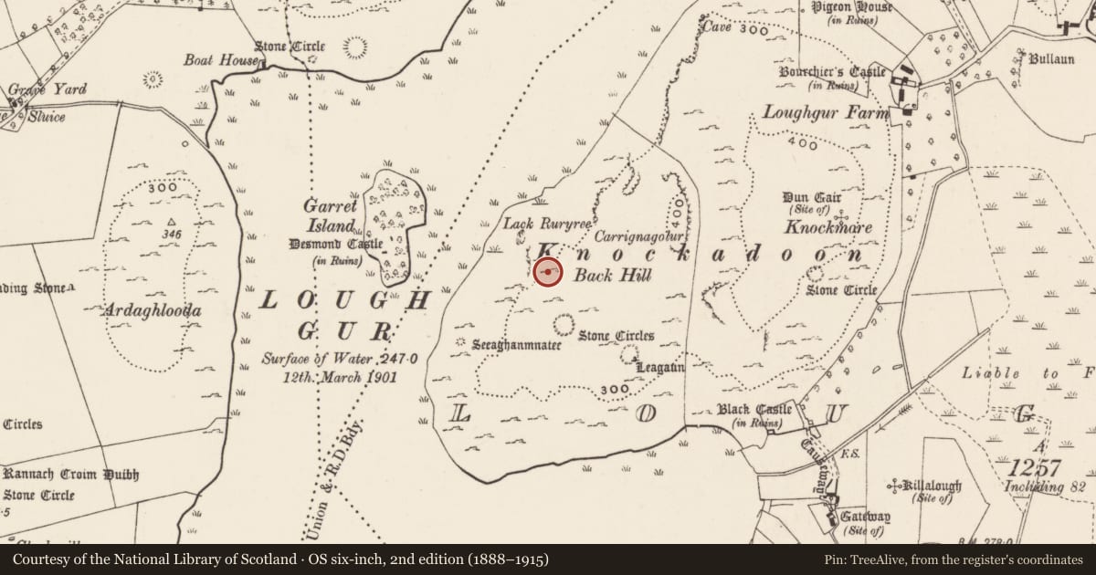 Ordnance Survey six-inch map, 2nd edition (1888–1915) covering the location of Enclosure, Loughgur, County Limerick, with a pin at the register's coordinates