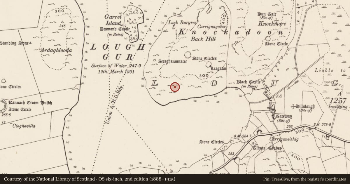 Ordnance Survey six-inch map, 2nd edition (1888–1915) covering the location of House - prehistoric, Loughgur, County Limerick, with a pin at the register's coordinates