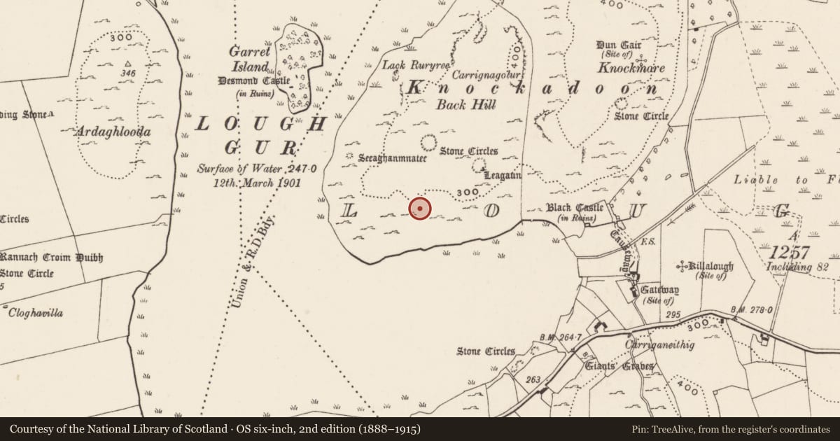 Ordnance Survey six-inch map, 2nd edition (1888–1915) covering the location of House - Neolithic, Loughgur, County Limerick, with a pin at the register's coordinates