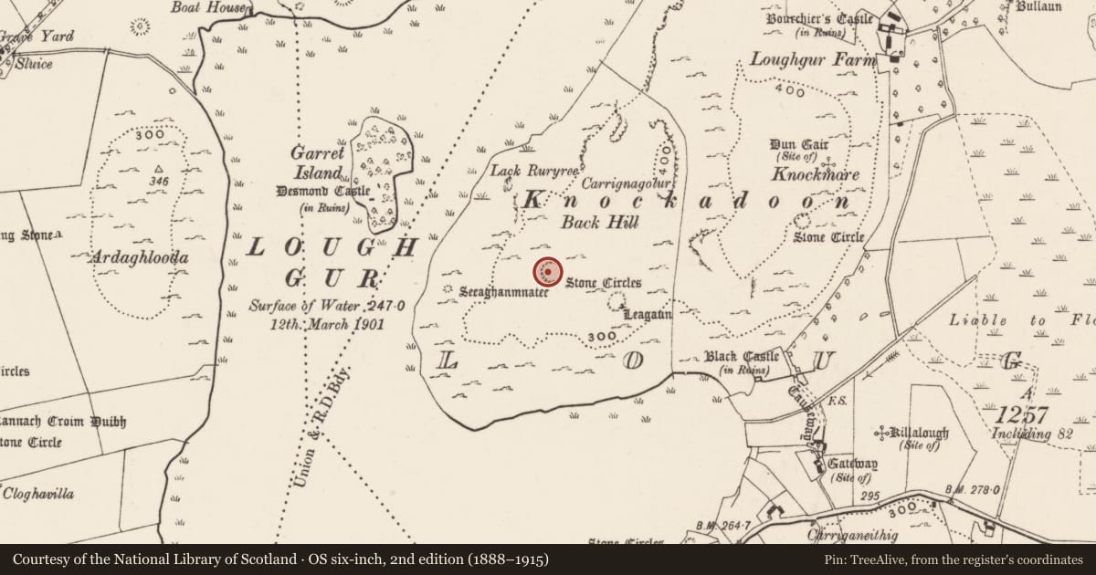 Ordnance Survey six-inch map, 2nd edition (1888–1915) covering the location of House - prehistoric, Loughgur, County Limerick, with a pin at the register's coordinates