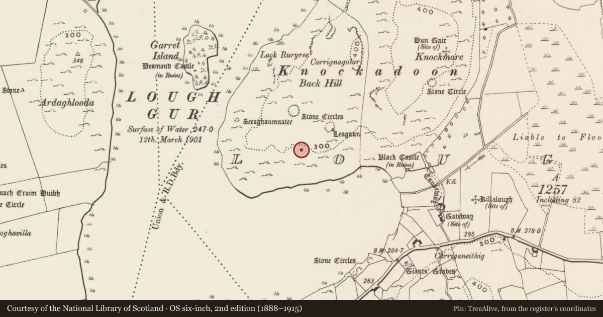 Ordnance Survey six-inch map, 2nd edition (1888–1915) covering the location of House - prehistoric, Loughgur, County Limerick, with a pin at the register's coordinates