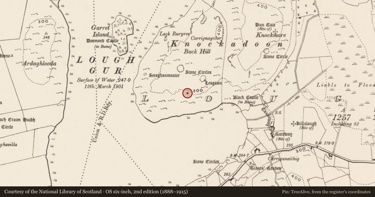 Ordnance Survey six-inch map, 2nd edition (1888–1915) covering the location of House - Neolithic, Loughgur, County Limerick, with a pin at the register's coordinates