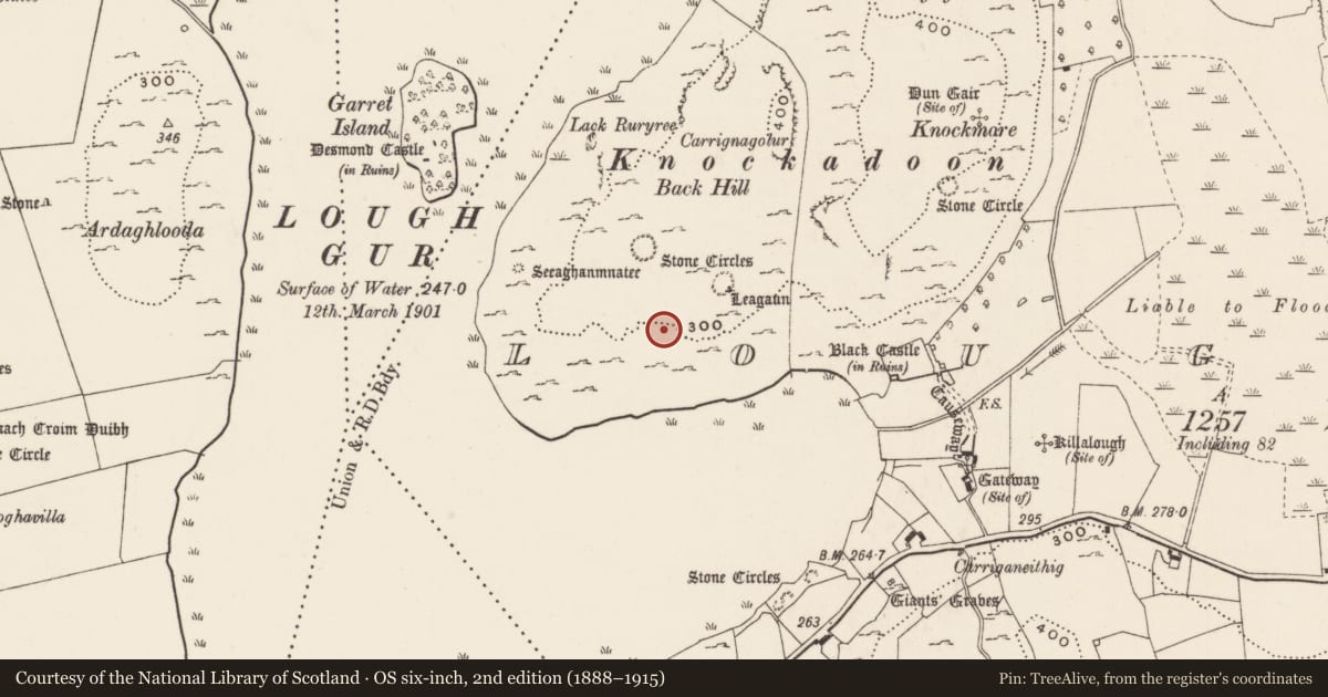 Ordnance Survey six-inch map, 2nd edition (1888–1915) covering the location of House - Neolithic, Loughgur, County Limerick, with a pin at the register's coordinates