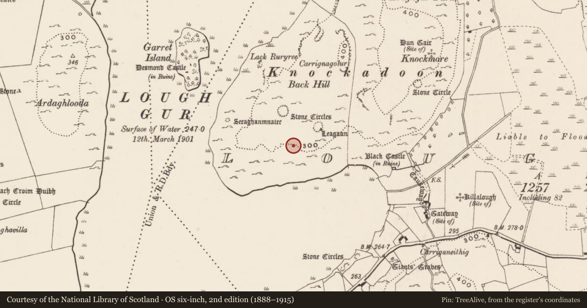 Ordnance Survey six-inch map, 2nd edition (1888–1915) covering the location of House - Neolithic, Loughgur, County Limerick, with a pin at the register's coordinates