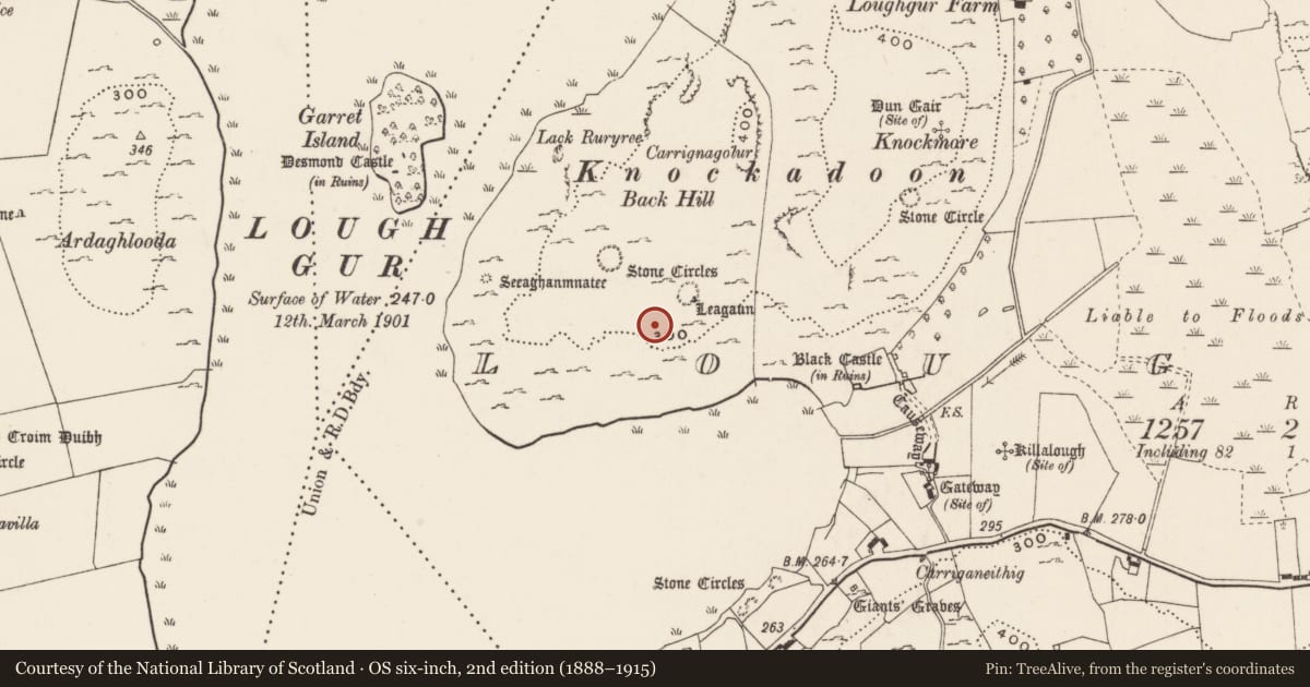 Ordnance Survey six-inch map, 2nd edition (1888–1915) covering the location of House - Bronze Age, Loughgur, County Limerick, with a pin at the register's coordinates