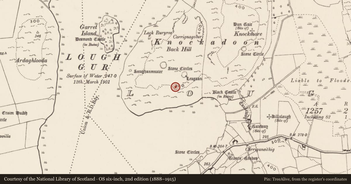 Ordnance Survey six-inch map, 2nd edition (1888–1915) covering the location of House - Neolithic, Loughgur, County Limerick, with a pin at the register's coordinates