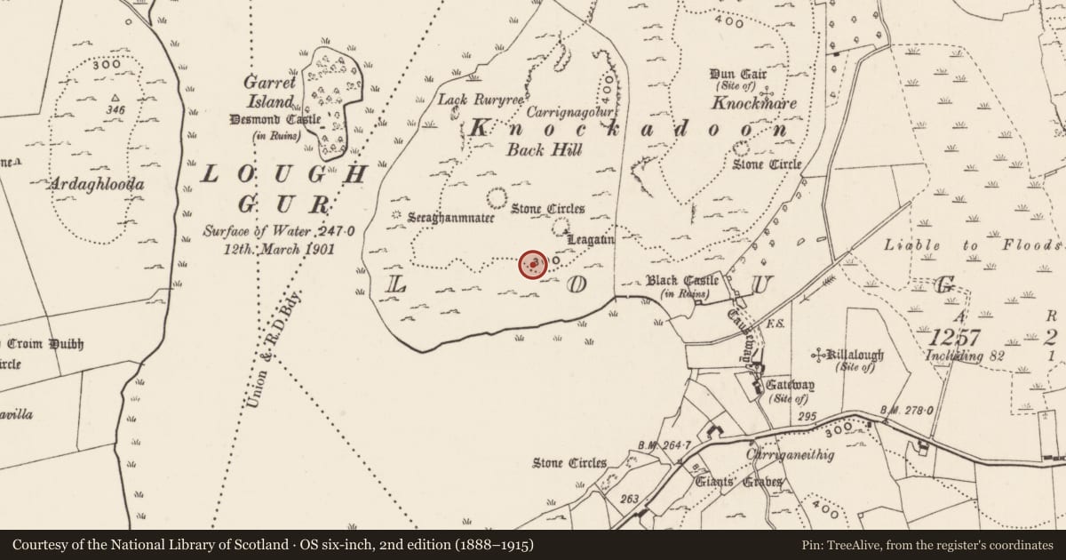 Ordnance Survey six-inch map, 2nd edition (1888–1915) covering the location of House - Neolithic, Loughgur, County Limerick, with a pin at the register's coordinates
