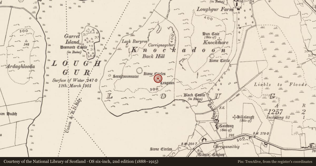 Ordnance Survey six-inch map, 2nd edition (1888–1915) covering the location of Enclosure, Loughgur, County Limerick, with a pin at the register's coordinates