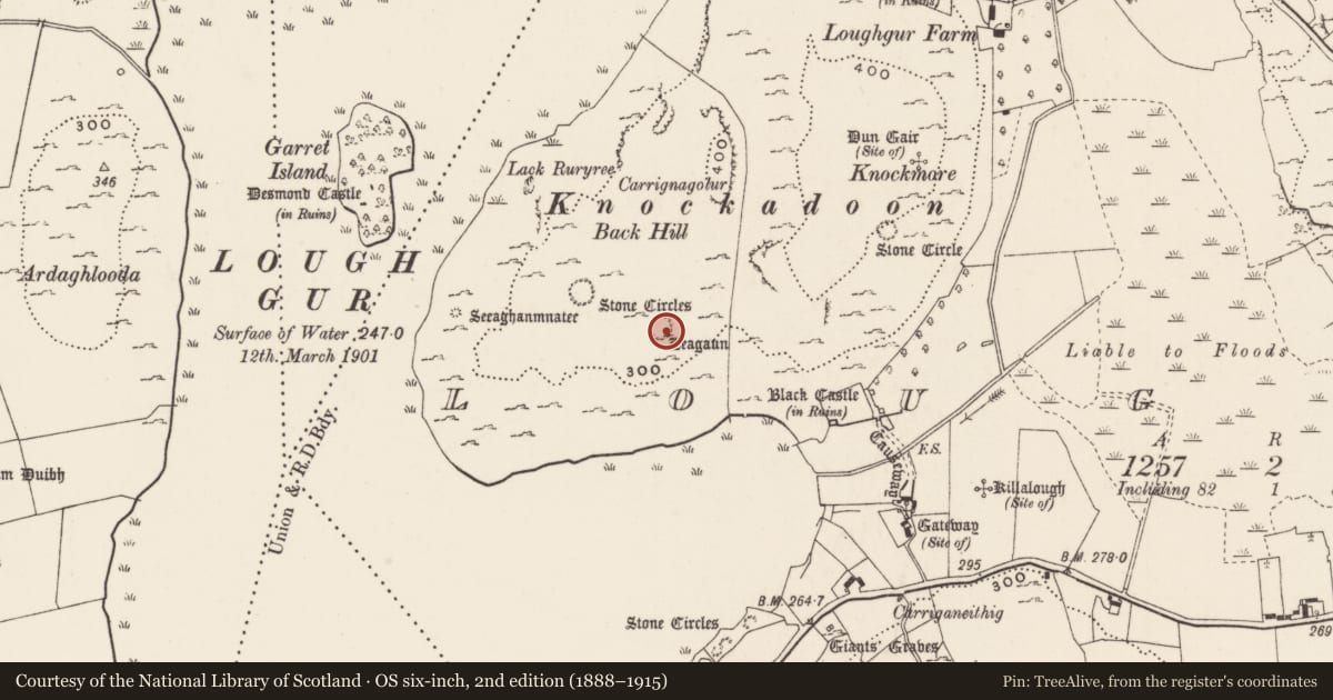 Ordnance Survey six-inch map, 2nd edition (1888–1915) covering the location of Standing stone, Loughgur, County Limerick, with a pin at the register's coordinates