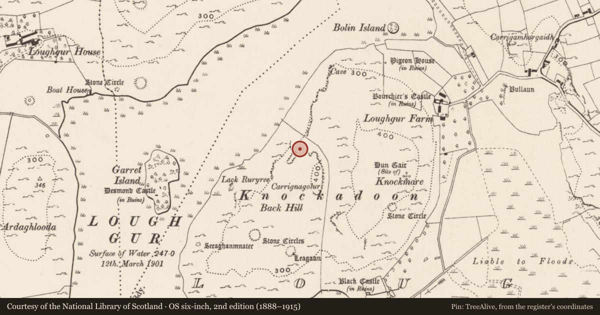 Ordnance Survey six-inch map, 2nd edition (1888–1915) covering the location of Enclosure, Loughgur, County Limerick, with a pin at the register's coordinates