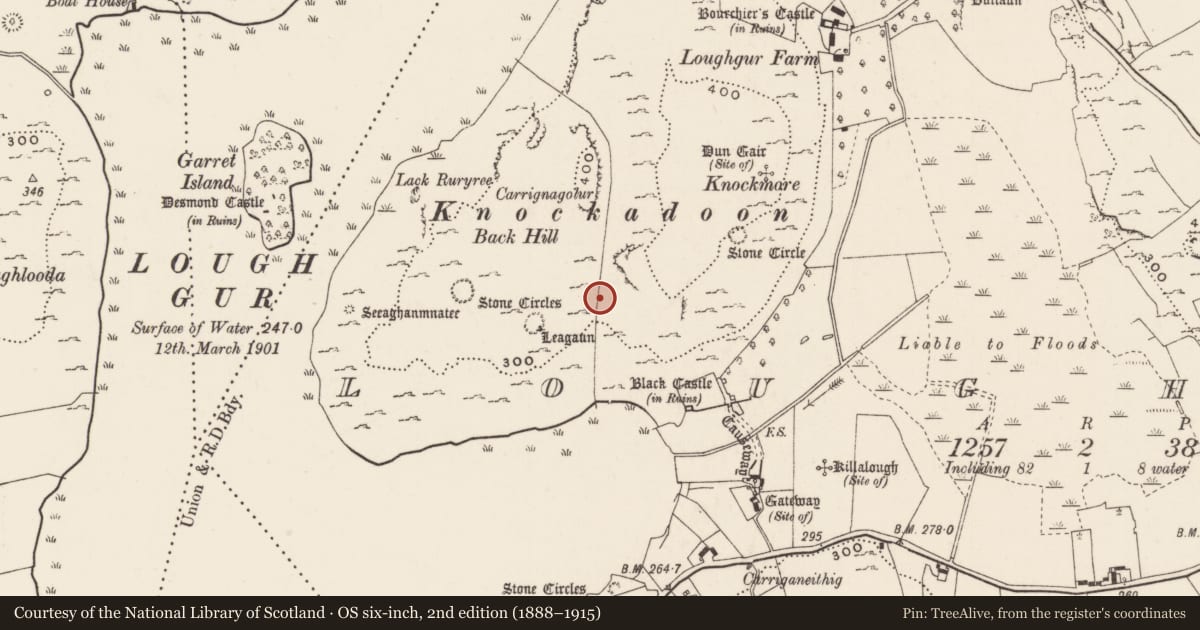 Ordnance Survey six-inch map, 2nd edition (1888–1915) covering the location of Hut site, Loughgur, County Limerick, with a pin at the register's coordinates