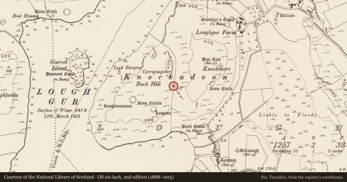 Ordnance Survey six-inch map, 2nd edition (1888–1915) covering the location of House - 17th century, Loughgur, County Limerick, with a pin at the register's coordinates