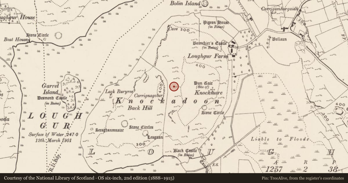 Ordnance Survey six-inch map, 2nd edition (1888–1915) covering the location of Enclosure, Loughgur, County Limerick, with a pin at the register's coordinates