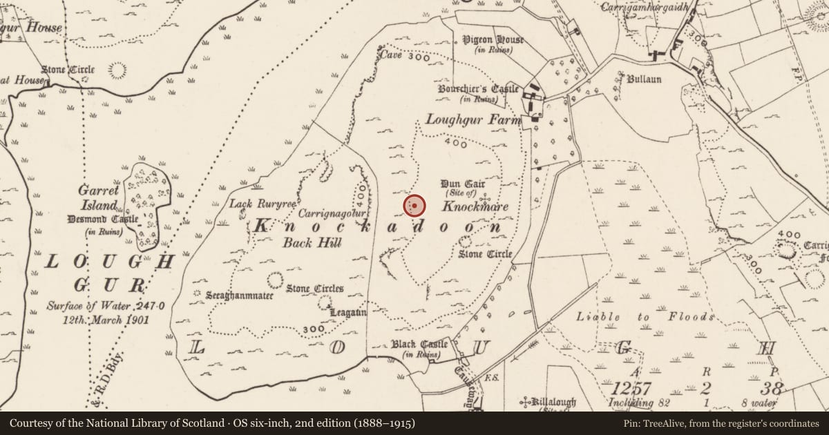 Ordnance Survey six-inch map, 2nd edition (1888–1915) covering the location of Enclosure, Loughgur, County Limerick, with a pin at the register's coordinates