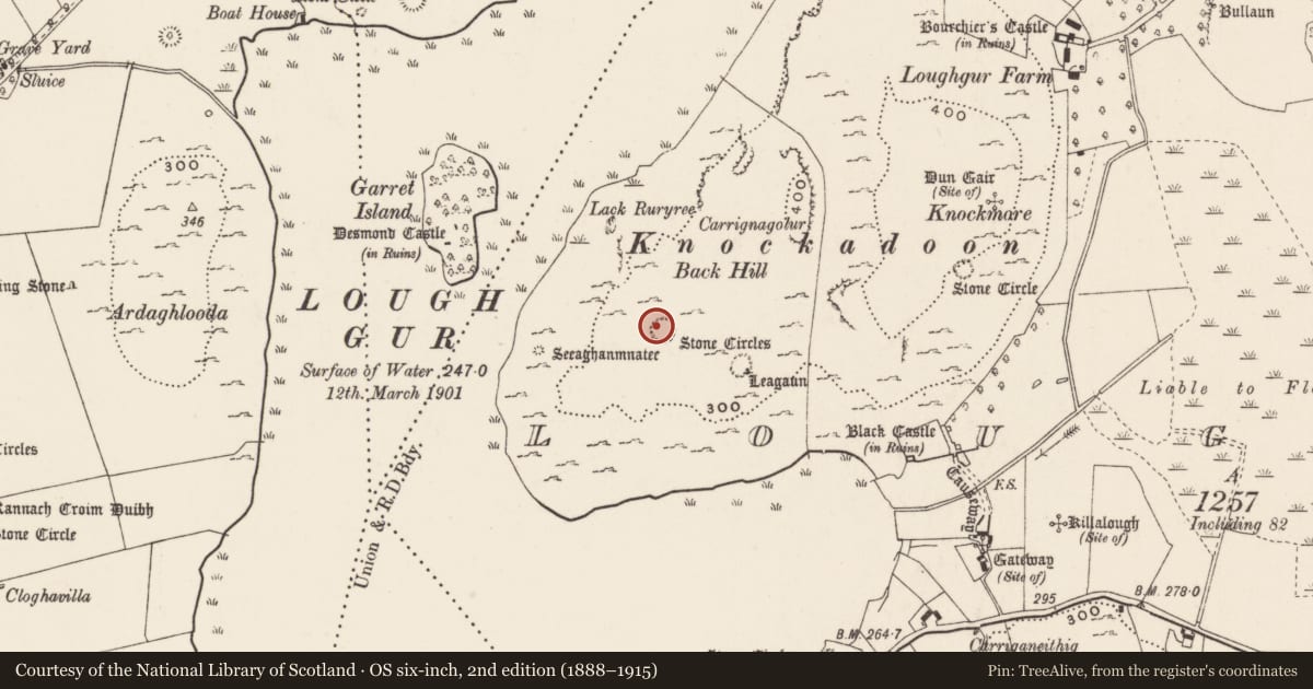 Ordnance Survey six-inch map, 2nd edition (1888–1915) covering the location of Enclosure, Loughgur, County Limerick, with a pin at the register's coordinates